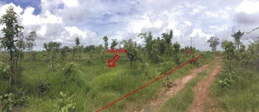 5,644 Sqm. Land listed for ฿ 927,000.