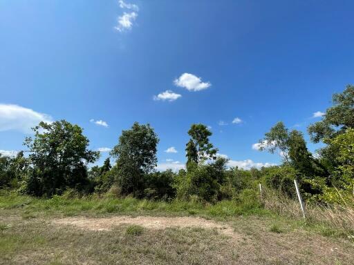 3,500 Sqm. Land listed for ฿ 919,000.