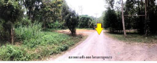 1,444 Sqm. Land listed for ฿ 686,000.