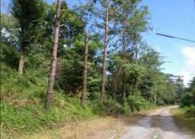 1,444 Sqm. Land listed for ฿ 686,000.
