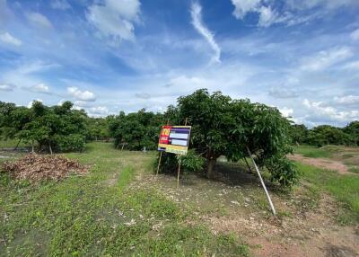 11,388 Sqm. Land listed for ฿ 897,000.