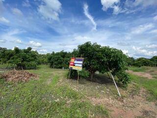 11,388 Sqm. Land listed for ฿ 897,000.