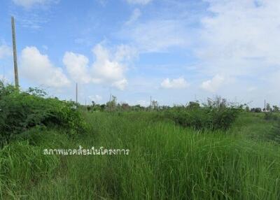 3,296 Sqm., 1 Bed Land listed for ฿ 866,000.