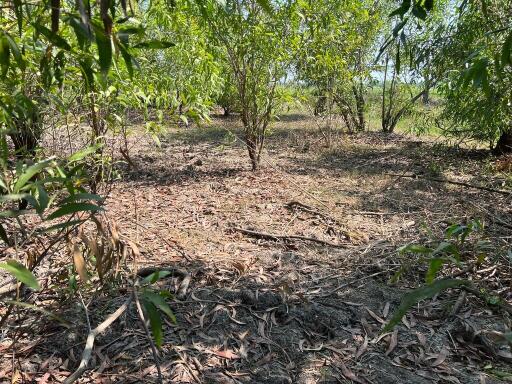 1,484 Sqm. Land listed for ฿ 858,000.