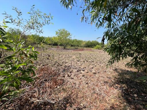 1,484 Sqm. Land listed for ฿ 858,000.