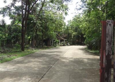 2,893 Sqm. Land listed for ฿ 837,000.