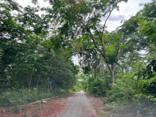 1,740 Sqm. Land listed for ฿ 823,000.
