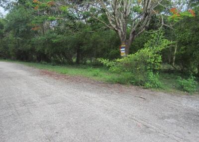 3,096 Sqm. Land listed for ฿ 813,000.