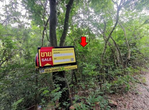 5,092 Sqm. Land listed for ฿ 802,000.