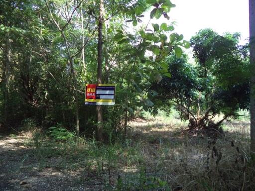 1,516 Sqm. Land listed for ฿ 796,000.