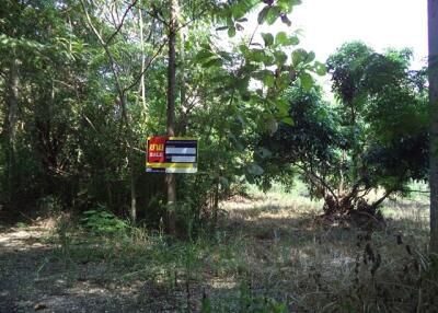 1,516 Sqm., 1 Bed Land listed for ฿ 796,000.