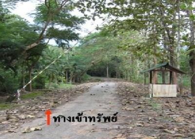 2,300 Sqm., 1 Bed Land listed for ฿ 785,000.