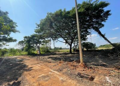 524 Sqm. Land listed for ฿ 785,000.
