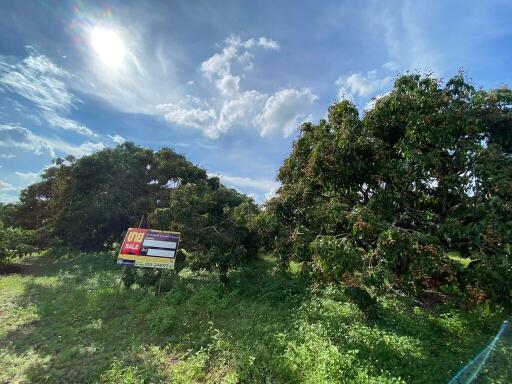 7,788 Sqm. Land listed for ฿ 767,000.