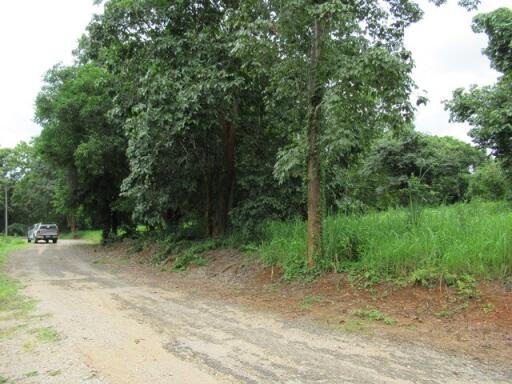 2,884 Sqm. Land listed for ฿ 758,000.