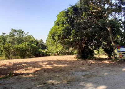 1,600 Sqm. Land listed for ฿ 620,000.