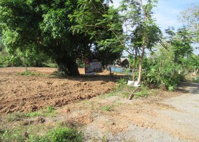1,600 Sqm. Land listed for ฿ 620,000.