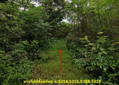 1,416 Sqm. Land listed for ฿ 744,000.