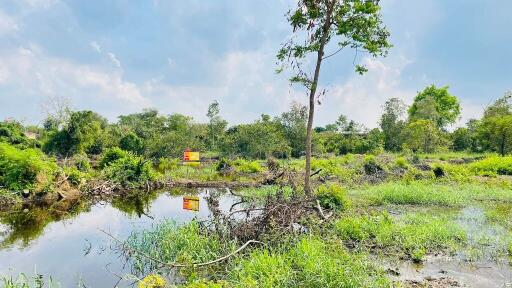 1,888 Sqm. Land listed for ฿ 744,000.