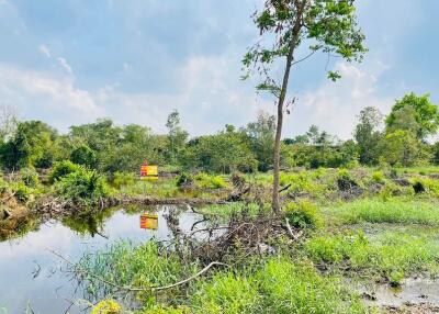 1,888 Sqm. Land listed for ฿ 744,000.