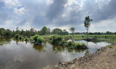 ที่ดิน ท่าเรือ ราคาพิเศษ!