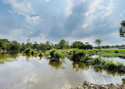 ที่ดิน ท่าเรือ ราคาพิเศษ!