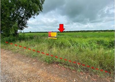 1,800 Sqm. Land listed for ฿ 709,000.