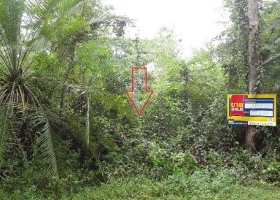 2,056 Sqm. Land listed for ฿ 702,000.