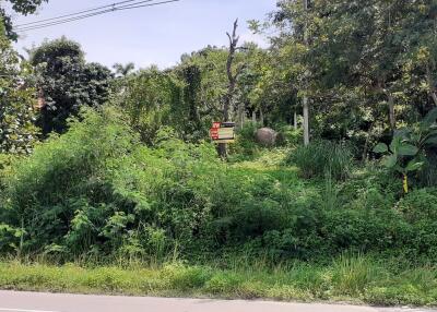 1,292 Sqm. Land listed for ฿ 679,000.