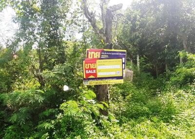 1,292 Sqm. Land listed for ฿ 679,000.