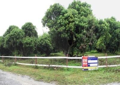 2,452 Sqm., 1 Bed Land listed for ฿ 613,000.