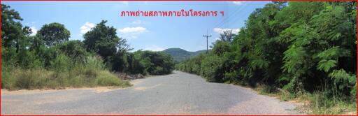 ที่ดิน - ราคาพิเศษ!