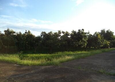 2,492 Sqm. Land listed for ฿ 655,000.