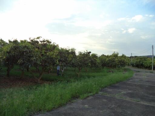 2,400 Sqm. Land listed for ฿ 630,000.