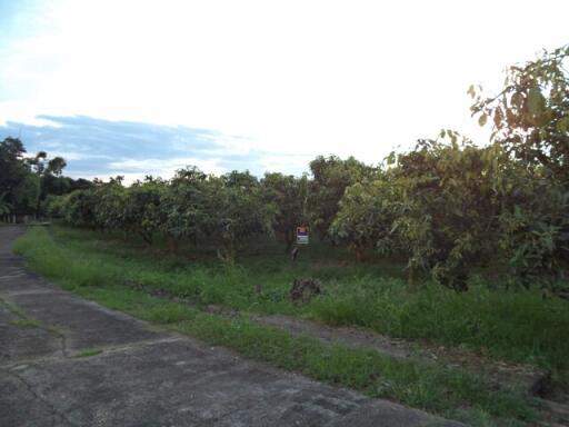 2,400 Sqm. Land listed for ฿ 630,000.
