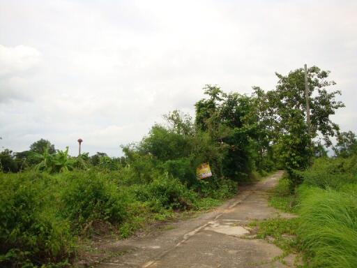 420 Sqm., 1 Bed Land listed for ฿ 629,000.