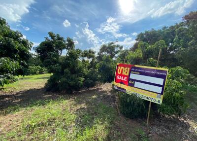 6,252 Sqm. Land listed for ฿ 616,000.