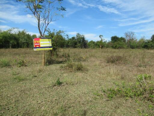 6,672 Sqm. Land listed for ฿ 613,000.