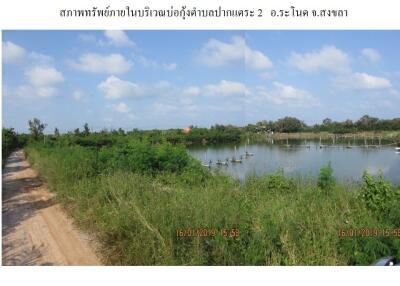 ที่ดิน ปากแตระ ราคาพิเศษ!