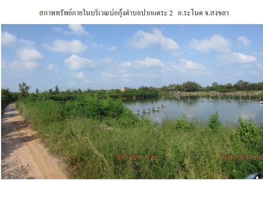 ที่ดิน ปากแตระ ราคาพิเศษ!