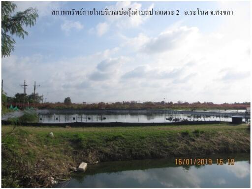 ที่ดิน ปากแตระ ราคาพิเศษ!