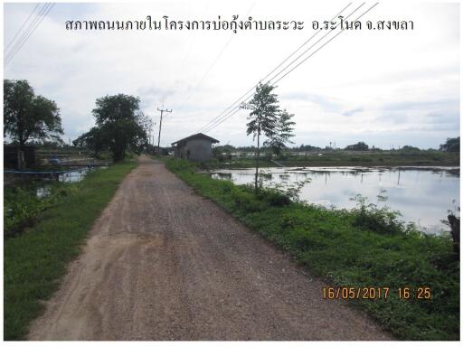 ที่ดิน ระวะ ราคาพิเศษ!