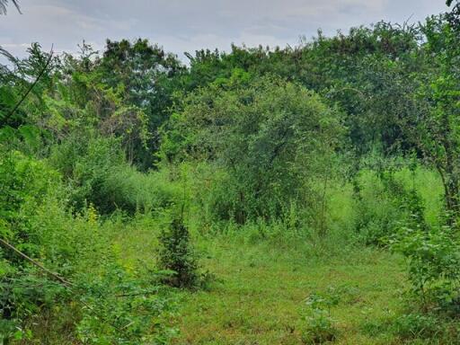 1,272 Sqm. Land listed for ฿ 602,000.