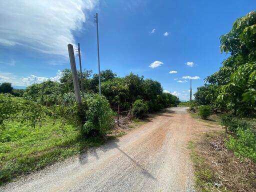 4,124 Sqm. Land listed for ฿ 596,000.