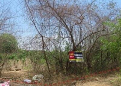 5,666 Sqm. Land listed for ฿ 595,000.