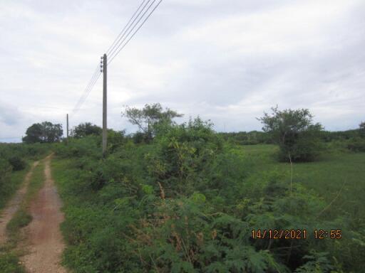 9,680 Sqm. Land listed for ฿ 585,000.
