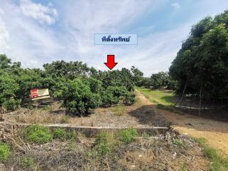 3,654 Sqm. Land listed for ฿ 576,000.