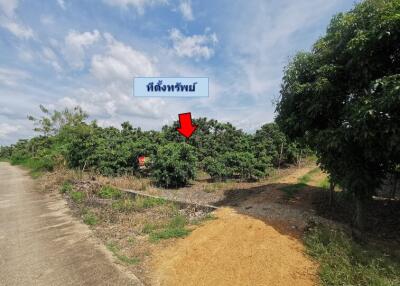 3,654 Sqm. Land listed for ฿ 576,000.