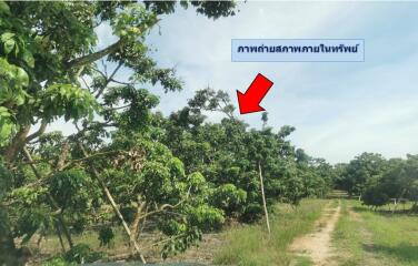 3,654 Sqm. Land listed for ฿ 576,000.