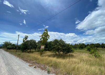 3,869 Sqm. Land listed for ฿ 559,000.